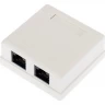 Розетка компьютерная REXANT RJ-45 (8P8C) внешняя 2-порта неэкранированная, категория 6 03-0136
